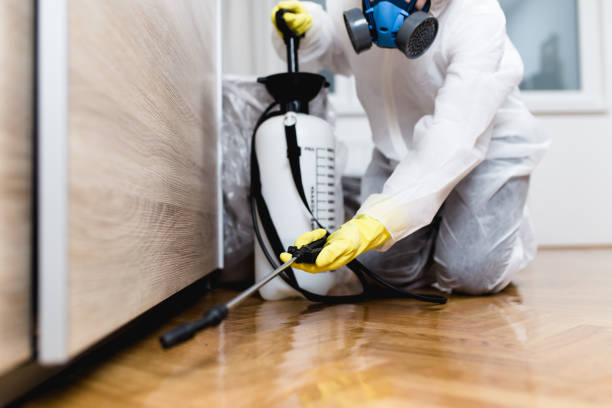 Best Pest Inspection Near Me  in Krebs, OK