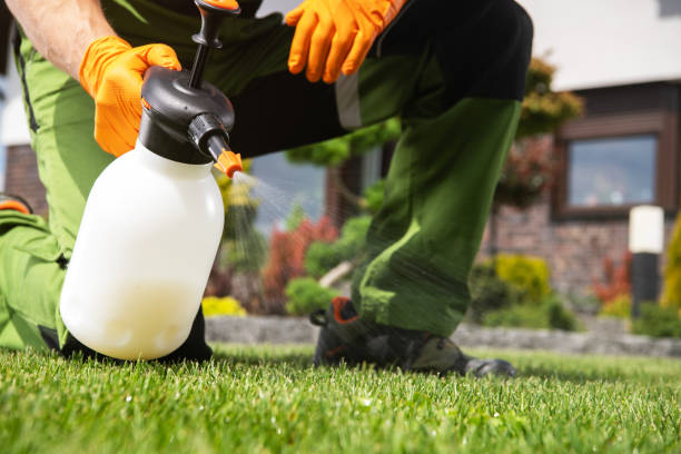Best Termite Control Services  in Krebs, OK