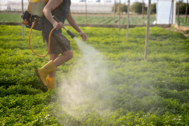 Best Exterminator Services  in Krebs, OK