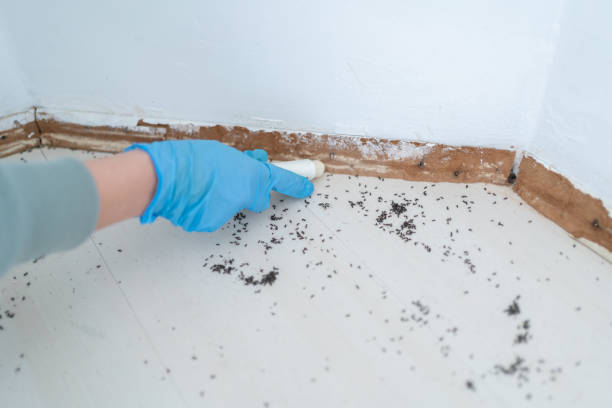 Best Pest Removal Services  in Krebs, OK